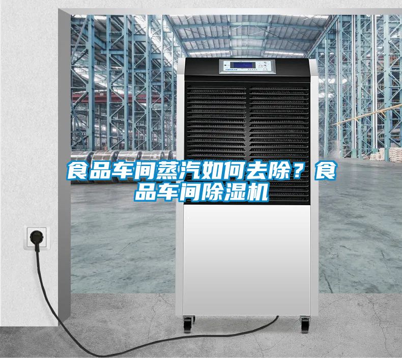 食品車(chē)間蒸汽如何去除？食品車(chē)間除濕機(jī)