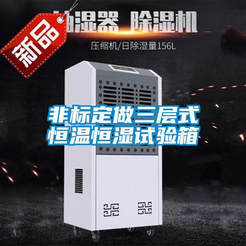非標(biāo)定做三層式恒溫恒濕試驗(yàn)箱