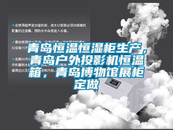 青島恒溫恒濕柜生產(chǎn)，青島戶外投影機恒溫箱，青島博物館展柜定做