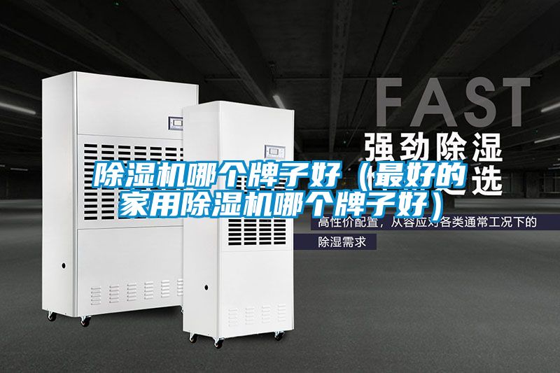 除濕機哪個牌子好（最好的家用除濕機哪個牌子好）