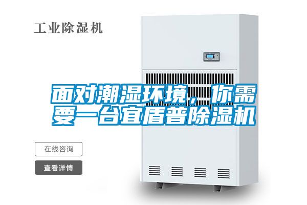 面對潮濕環(huán)境，你需要一臺宜盾普除濕機(jī)