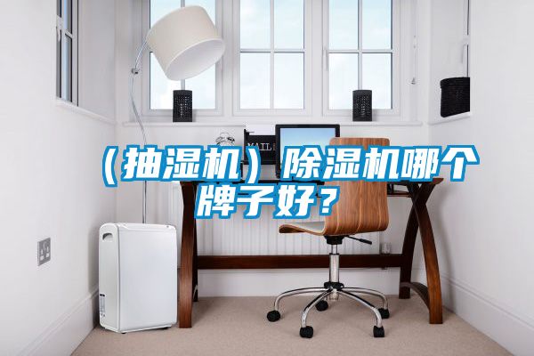 （抽濕機）除濕機哪個牌子好？
