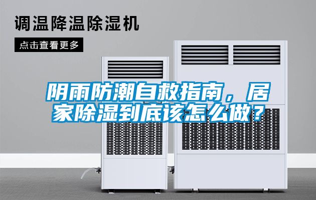 陰雨防潮自救指南，居家除濕到底該怎么做？