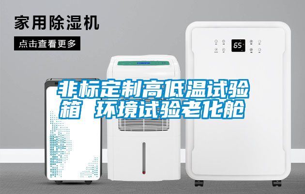 非標(biāo)定制高低溫試驗(yàn)箱 環(huán)境試驗(yàn)老化艙
