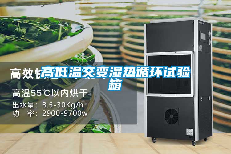 高低溫交變濕熱循環試驗箱