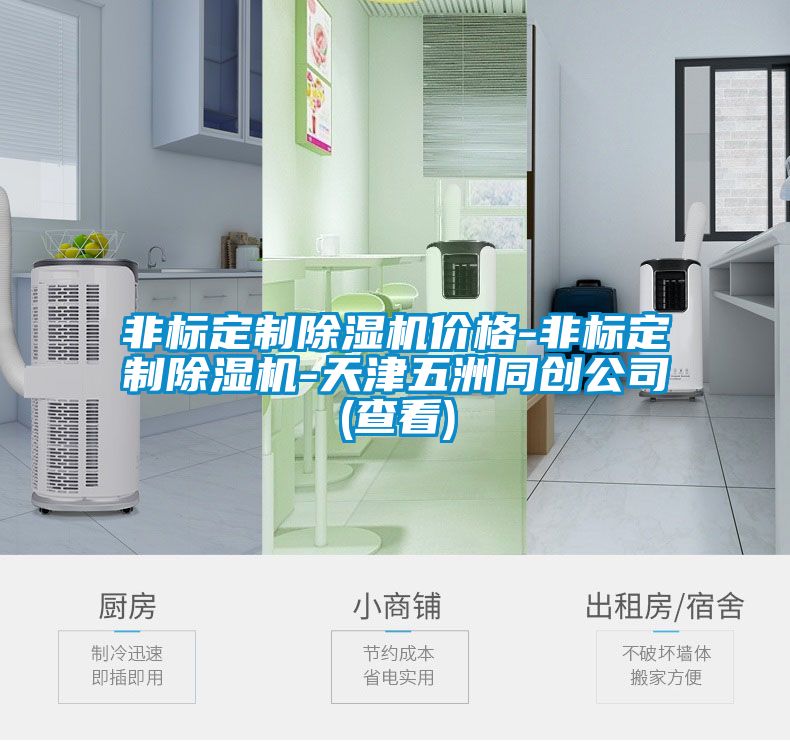 非標(biāo)定制除濕機(jī)價(jià)格-非標(biāo)定制除濕機(jī)-天津五洲同創(chuàng)公司(查看)