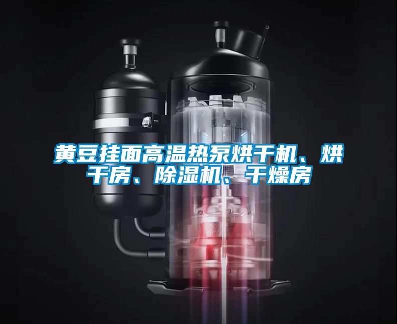 黃豆掛面高溫?zé)岜煤娓蓹C(jī)、烘干房、除濕機(jī)、干燥房
