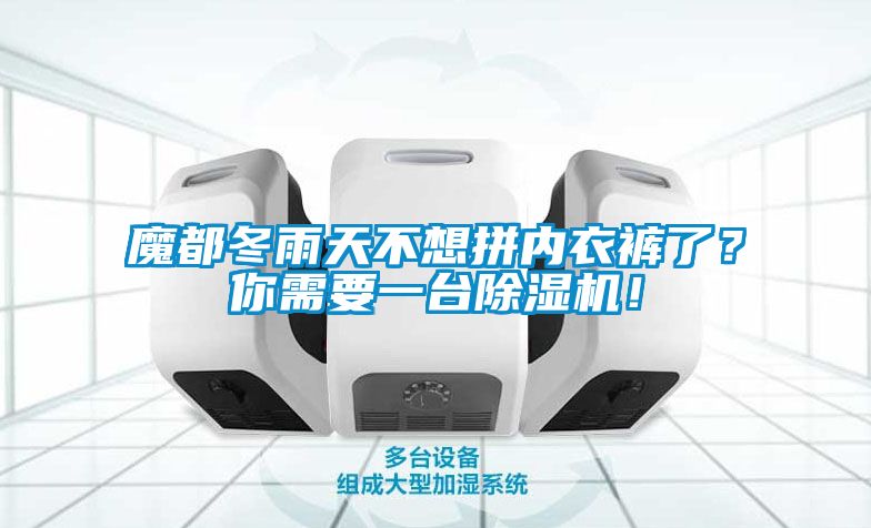 魔都冬雨天不想拼內(nèi)衣褲了？你需要一臺(tái)除濕機(jī)！