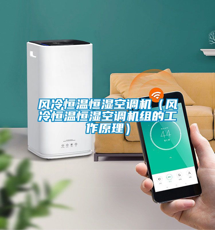 風冷恒溫恒濕空調機（風冷恒溫恒濕空調機組的工作原理）