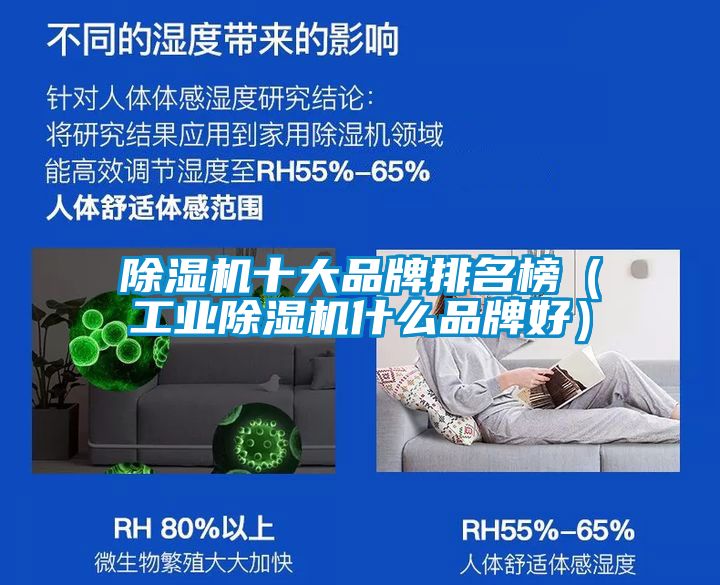除濕機十大品牌排名榜（工業除濕機什么品牌好）