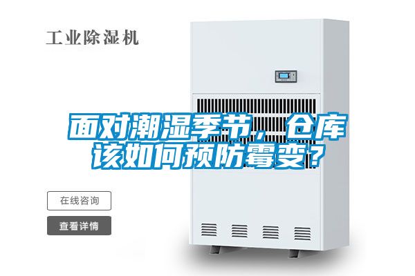 面對潮濕季節，倉庫該如何預防霉變？