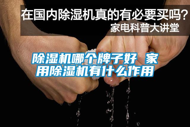 除濕機(jī)哪個牌子好 家用除濕機(jī)有什么作用