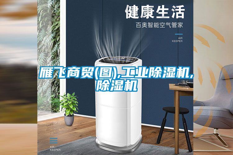 雁飛商貿(圖),工業除濕機,除濕機