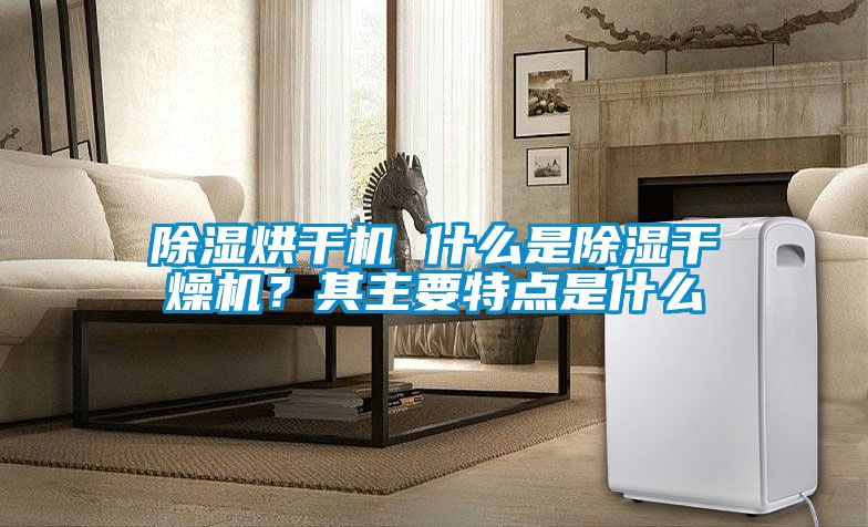 除濕烘干機(jī) 什么是除濕干燥機(jī)？其主要特點(diǎn)是什么