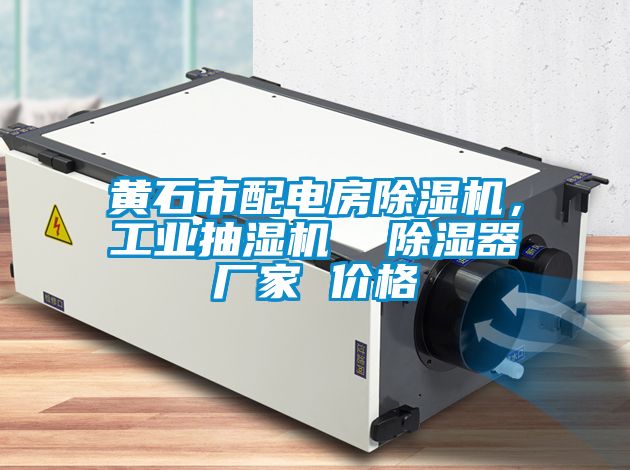 黃石市配電房除濕機，工業(yè)抽濕機  除濕器廠家 價格
