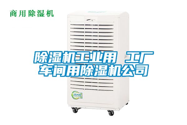 除濕機(jī)工業(yè)用 工廠車間用除濕機(jī)公司