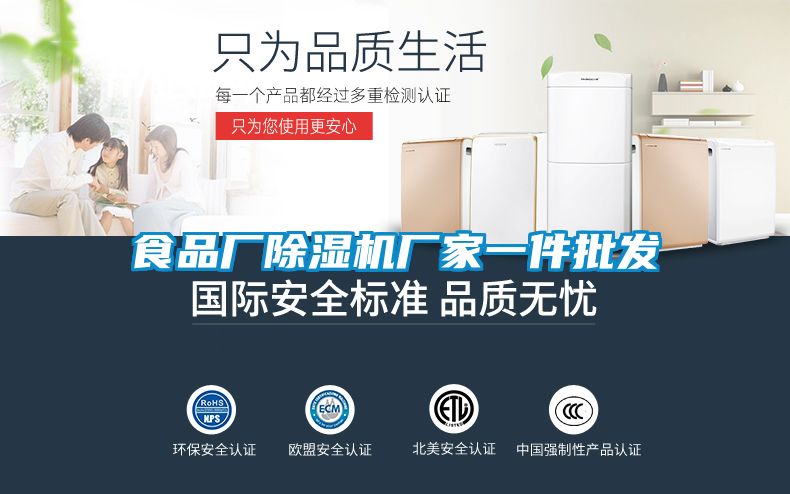 食品廠除濕機廠家一件批發