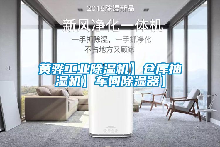黃驊工業(yè)除濕機(jī)】倉(cāng)庫(kù)抽濕機(jī)】車(chē)間除濕器】