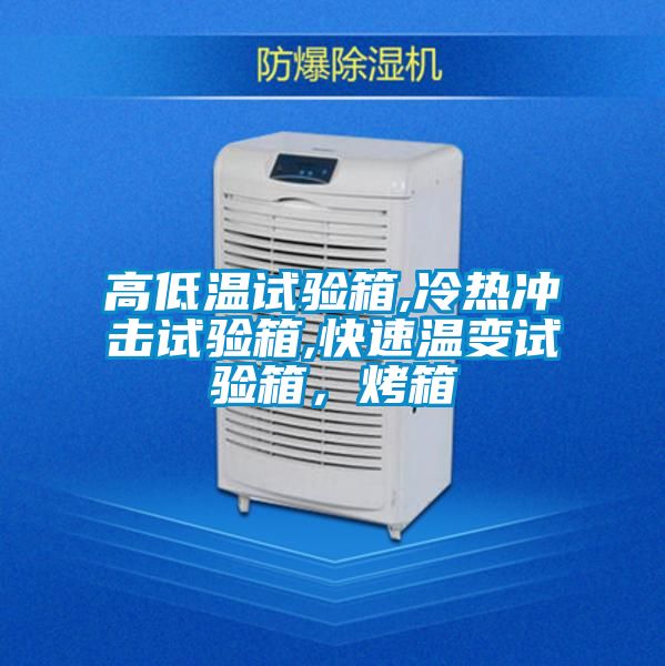 高低溫試驗(yàn)箱,冷熱沖擊試驗(yàn)箱,快速溫變試驗(yàn)箱，烤箱