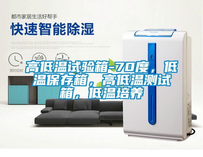 高低溫試驗箱-70度，低溫保存箱，高低溫測試箱，低溫培養