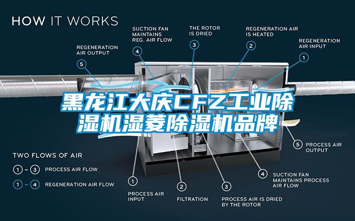 黑龍江大慶CFZ工業(yè)除濕機(jī)濕菱除濕機(jī)品牌