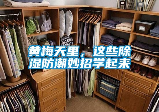 黃梅天里，這些除濕防潮妙招學起來