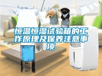 知識(shí)百科恒溫恒濕試驗(yàn)箱的工作原理及保養(yǎng)注意事項(xiàng)