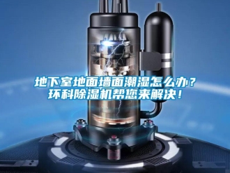 常見問題地下室地面墻面潮濕怎么辦？環科除濕機幫您來解決！