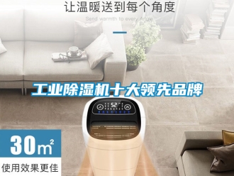 常見(jiàn)問(wèn)題工業(yè)除濕機(jī)十大領(lǐng)先品牌
