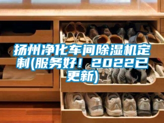 企業新聞揚州凈化車間除濕機定制(服務好！2022已更新)