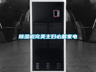 企業新聞除濕機完美主婦必備家電