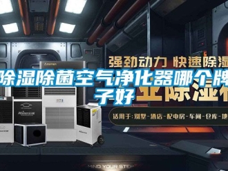 企業新聞除濕除菌空氣凈化器哪個牌子好