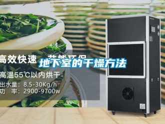 企業(yè)新聞地下室的干燥方法