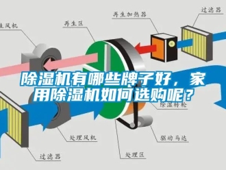 常見問題除濕機(jī)有哪些牌子好，家用除濕機(jī)如何選購呢？