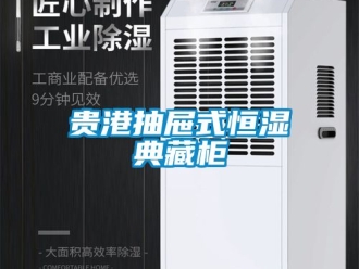 知識(shí)百科貴港抽屜式恒濕典藏柜