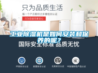 常見問題工業除濕機是如何安裝和保養的呢？