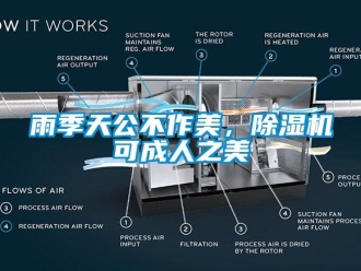 知識百科雨季天公不作美，除濕機可成人之美