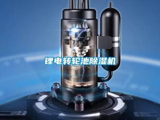 常見問題鋰電轉(zhuǎn)輪池除濕機