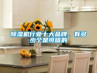 企業(yè)新聞除濕機(jī)行業(yè)十大品牌，有多少個(gè)是可信的