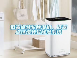企業(yè)新聞低露點(diǎn)轉(zhuǎn)輪除濕機(jī)，低露點(diǎn)環(huán)境轉(zhuǎn)輪除濕系統(tǒng)