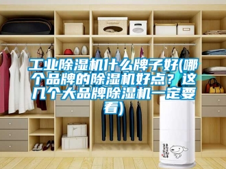 常見問題工業除濕機什么牌子好(哪個品牌的除濕機好點？這幾個大品牌除濕機一定要看)