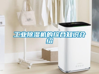 企業(yè)新聞工業(yè)除濕機的綜合知識介紹