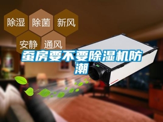 企業(yè)新聞蠶房要不要除濕機(jī)防潮