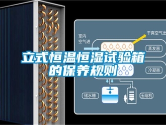 知識百科立式恒溫恒濕試驗箱的保養規則