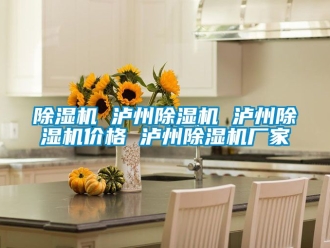 企業(yè)新聞除濕機(jī) 瀘州除濕機(jī) 瀘州除濕機(jī)價(jià)格 瀘州除濕機(jī)廠(chǎng)家
