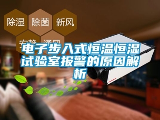 知識百科電子步入式恒溫恒濕試驗室報警的原因解析