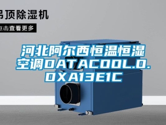 知識百科河北阿爾西恒溫恒濕空調DATACOOL.O.DXA13E1C
