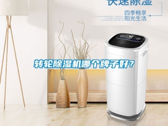 常見問題轉輪除濕機哪個牌子好？