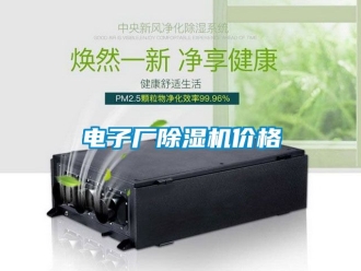 企業(yè)新聞電子廠除濕機(jī)價(jià)格
