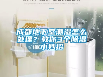 企業新聞成都地下室潮濕怎么處理？教你3個除濕小妙招